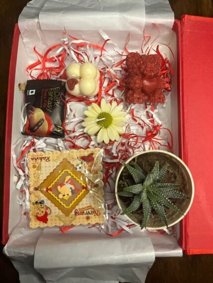 Raksha Bandhan combo